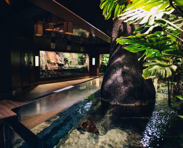 Amazonia
