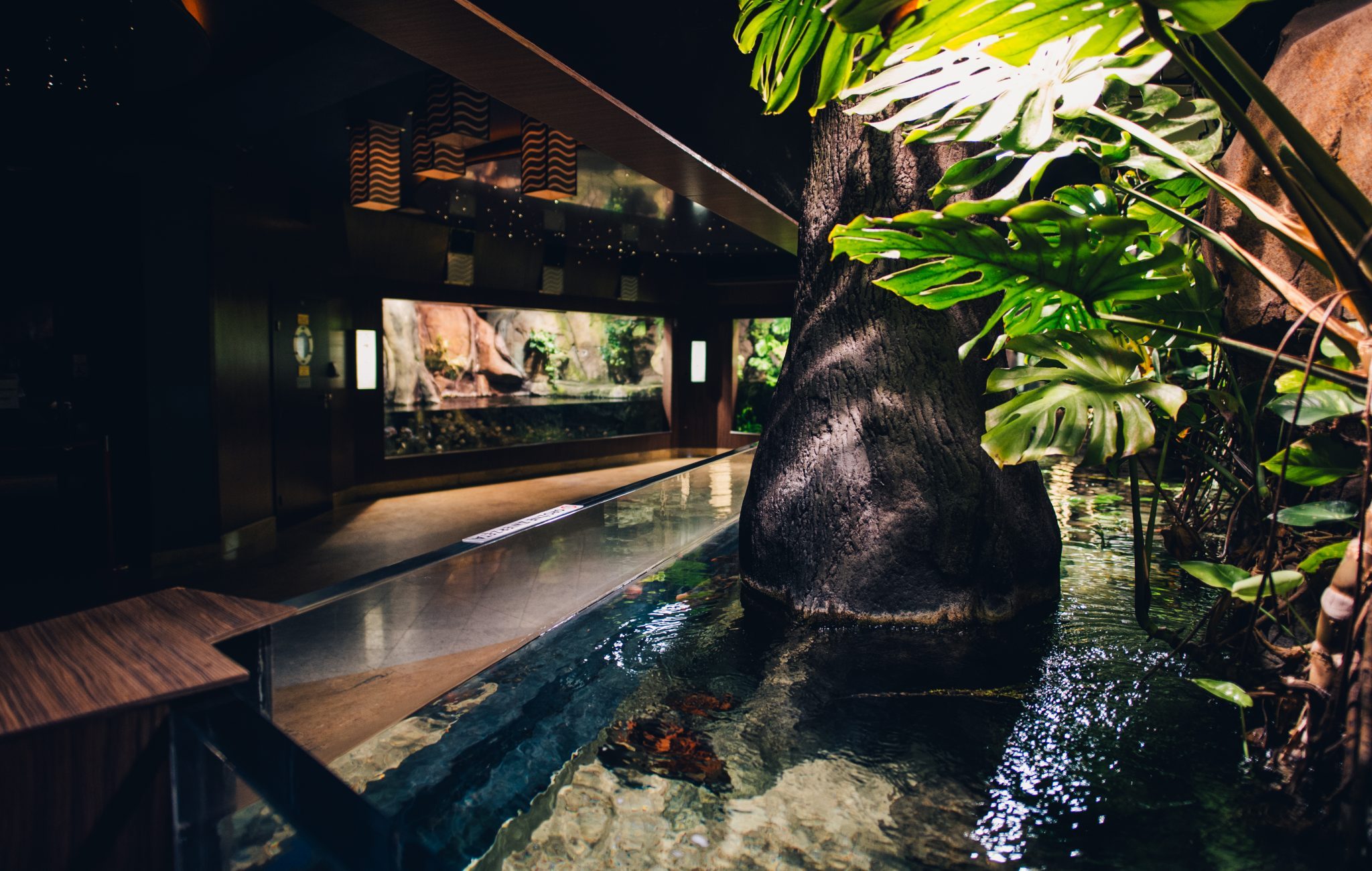 Amazonia