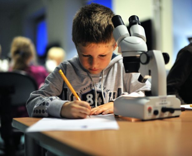 Zajęcia edukacyjne