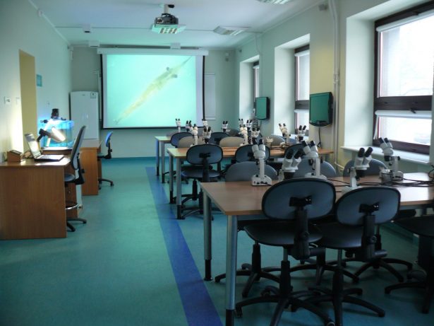Educational space