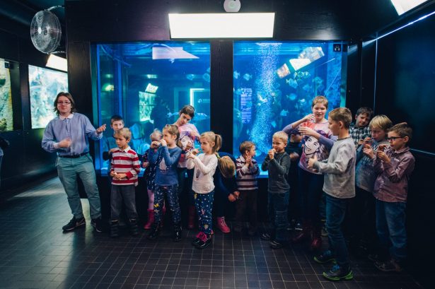 Young Sea’s Explorer Club