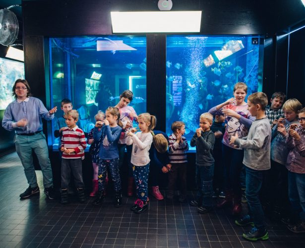 Young Sea’s Explorer Club