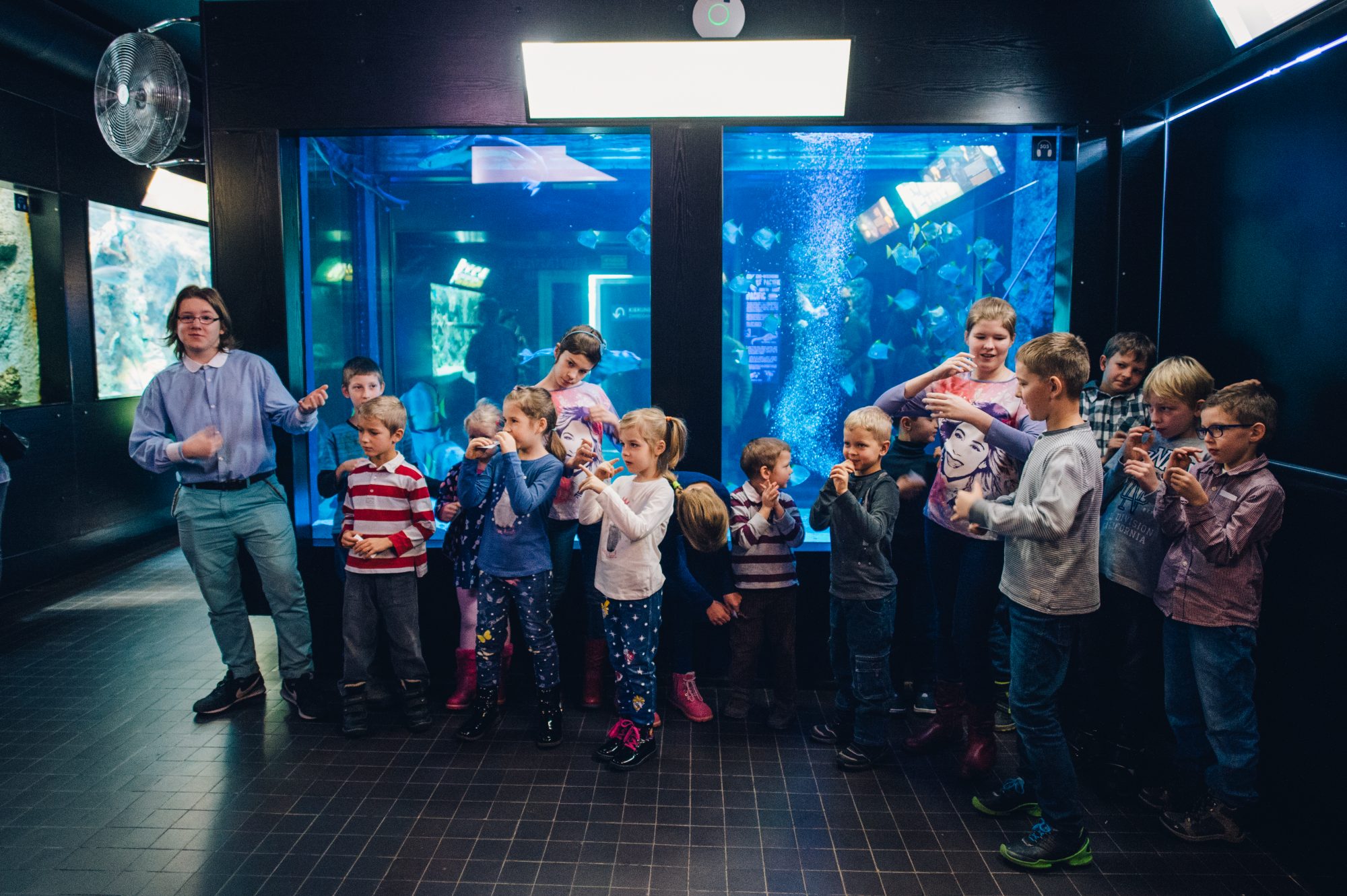 Young Sea's Explorer Club