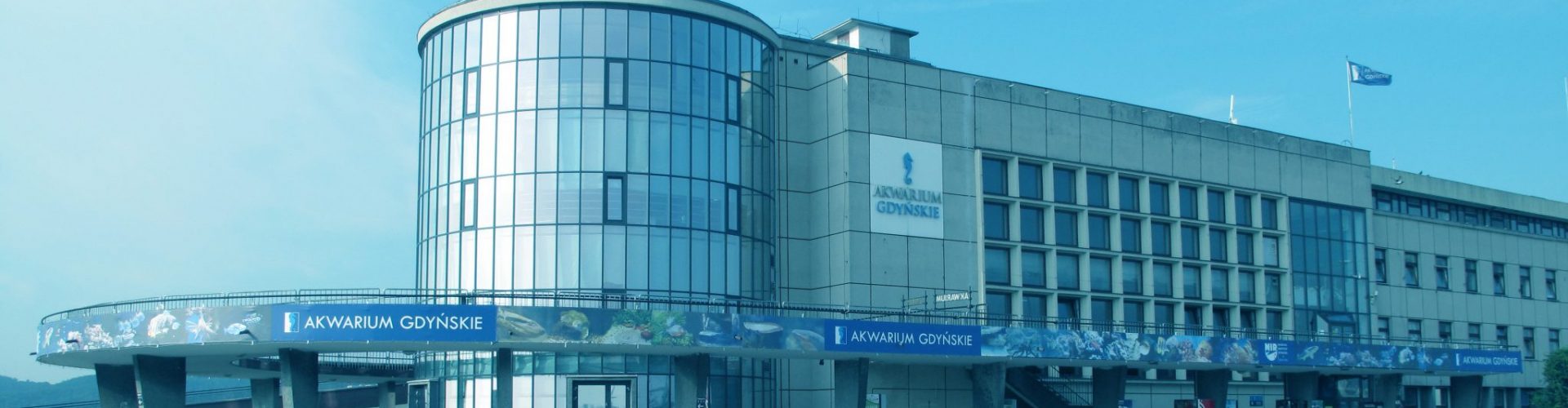 Praca dla kasjerów w Akwarium Gdyńskim MIR-PIB