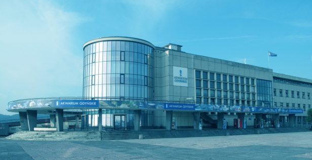Praca dla kasjerów w Akwarium Gdyńskim MIR-PIB