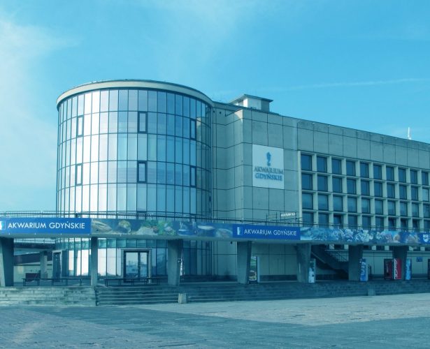 Praca dla kasjerów w Akwarium Gdyńskim MIR-PIB