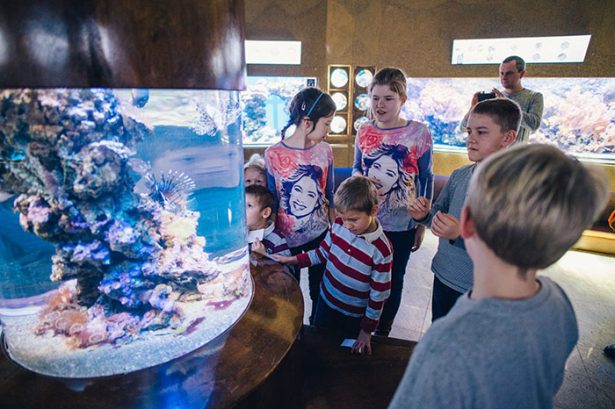 Dzień Dziecka w Akwarium