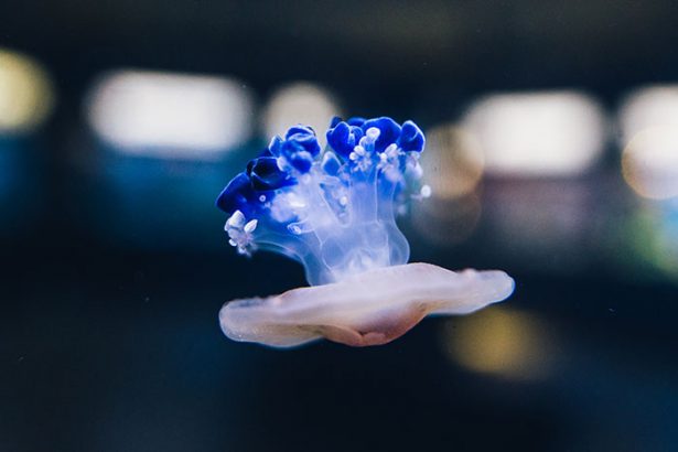 Weekend za pół ceny!