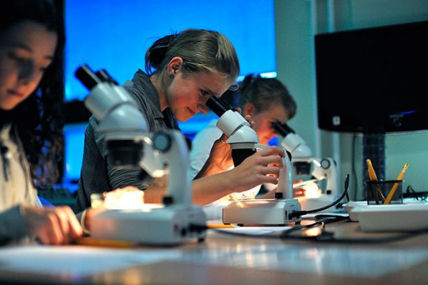 The Multimedia Room of the Sea Ecology