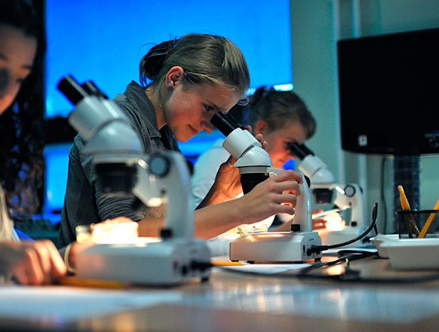 The Multimedia Room of the Sea Ecology