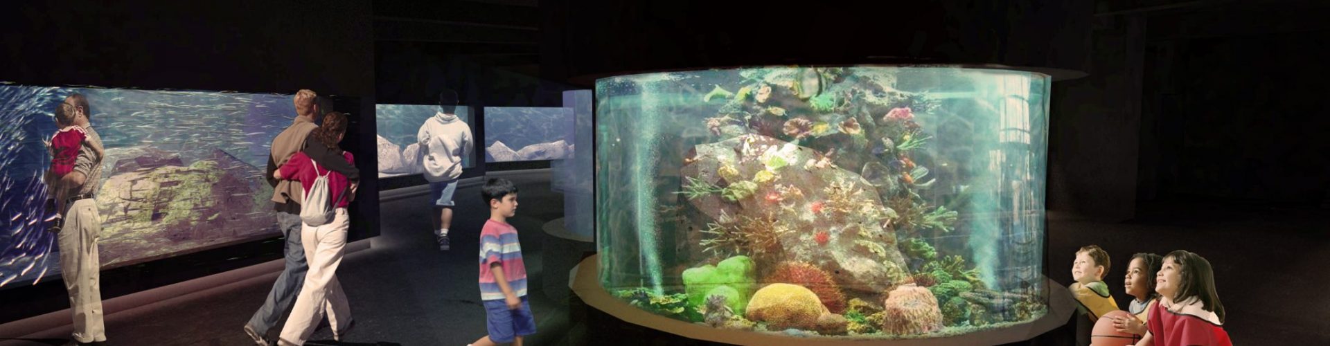 Agreement for the expansion of the Gdynia Aquarium exhibition signed!
