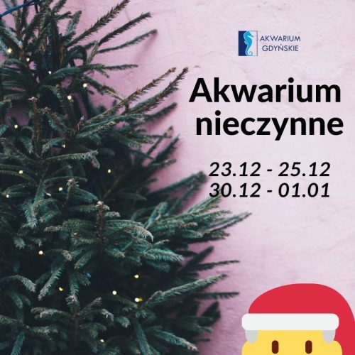 Dni otwarcia Akwarium w okresie świątecznym