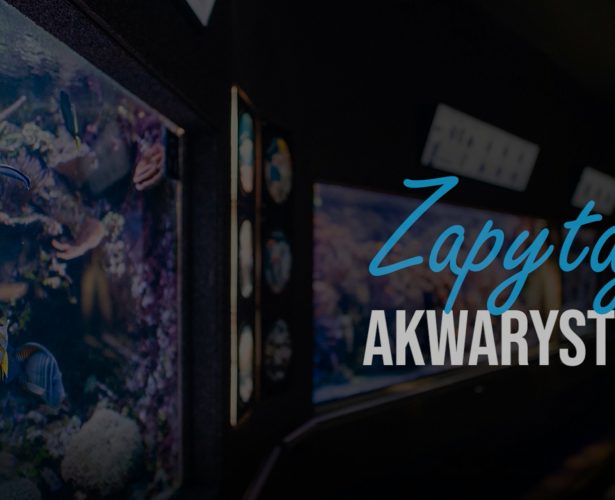 Utrzymanie czystości zbiorników