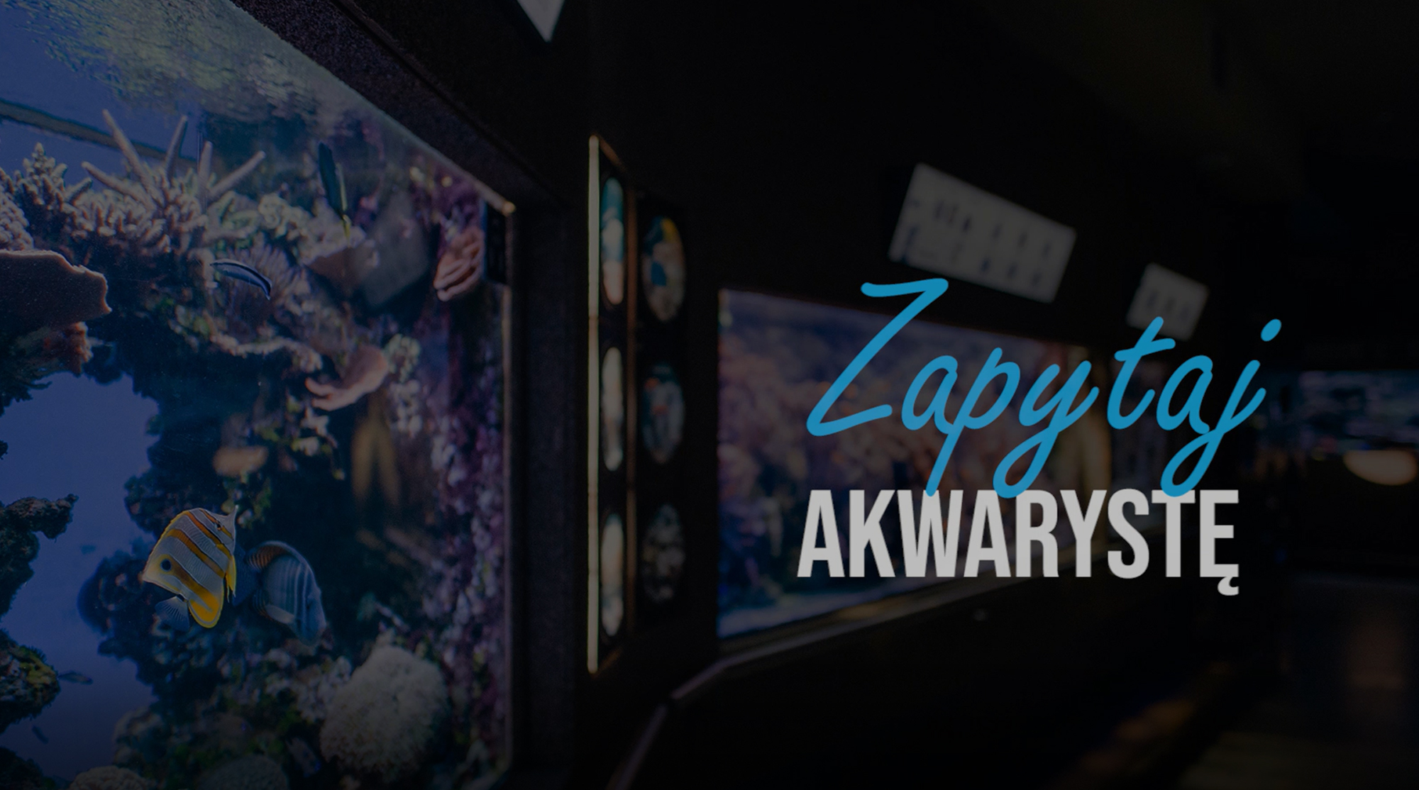 Karmienie zwierząt