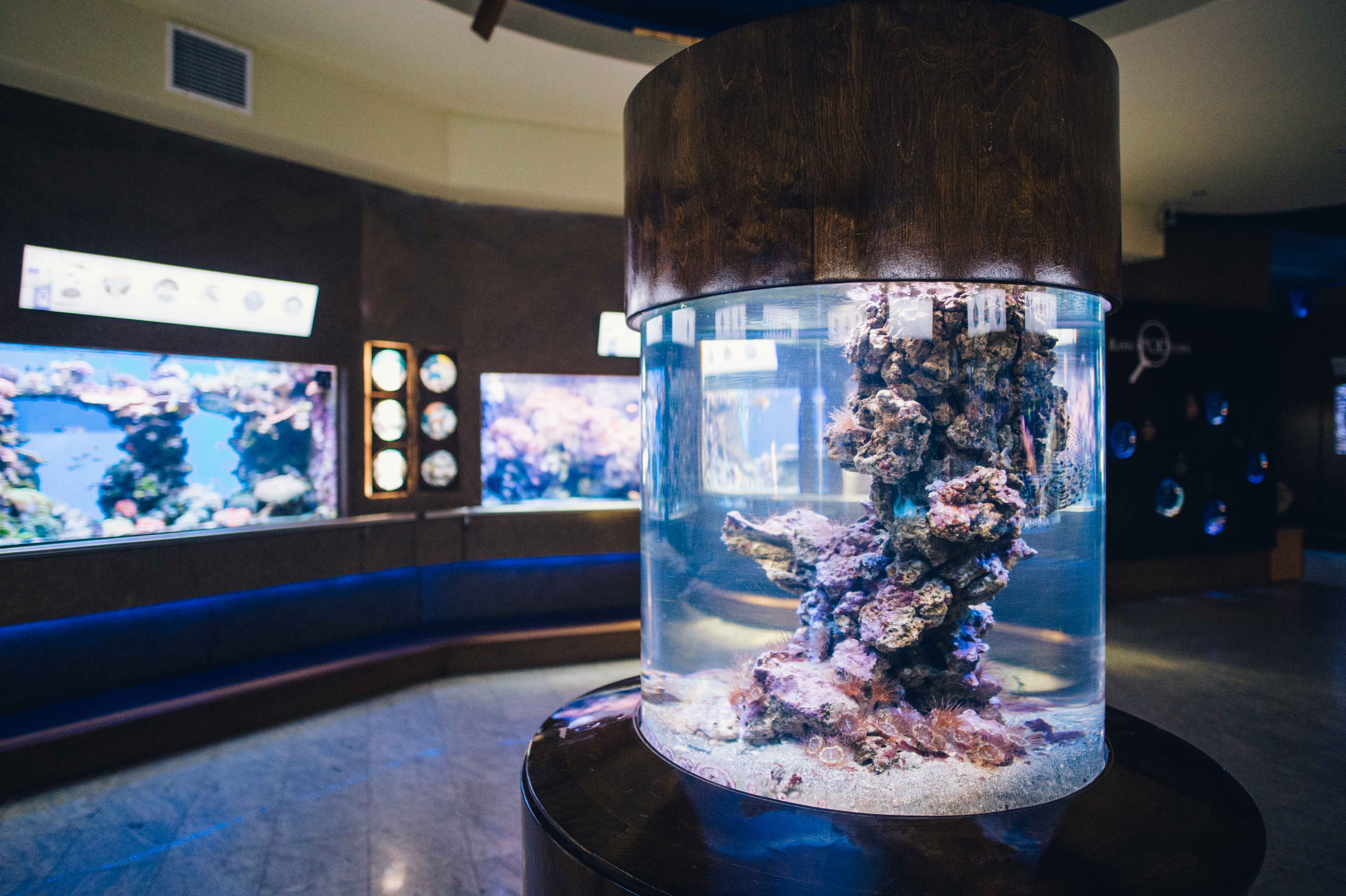 Holidays in the Gdynia Aquarium