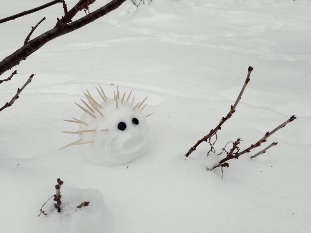 Wyślij nam foto bałwana | do 28 lutego