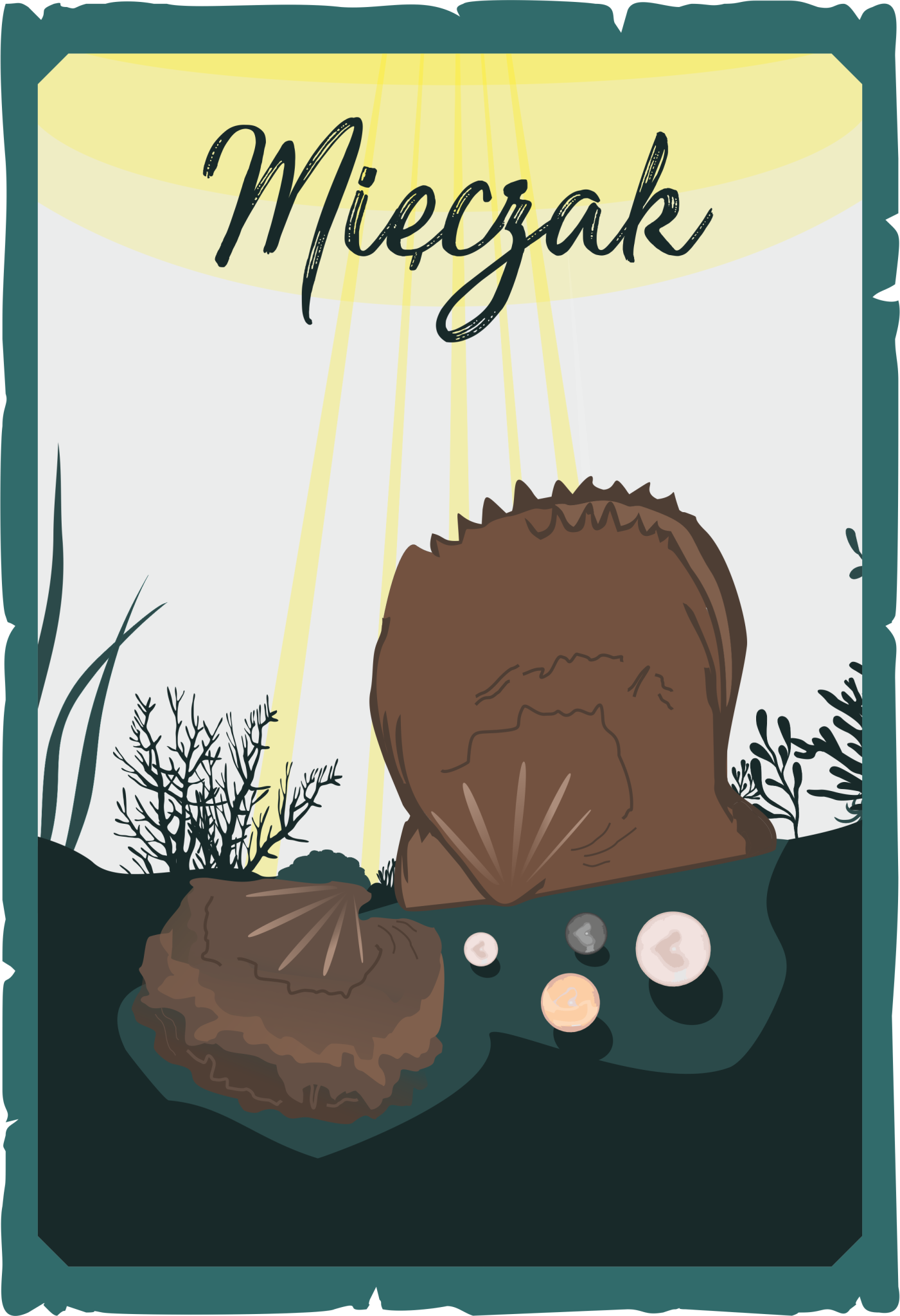 Mięczak