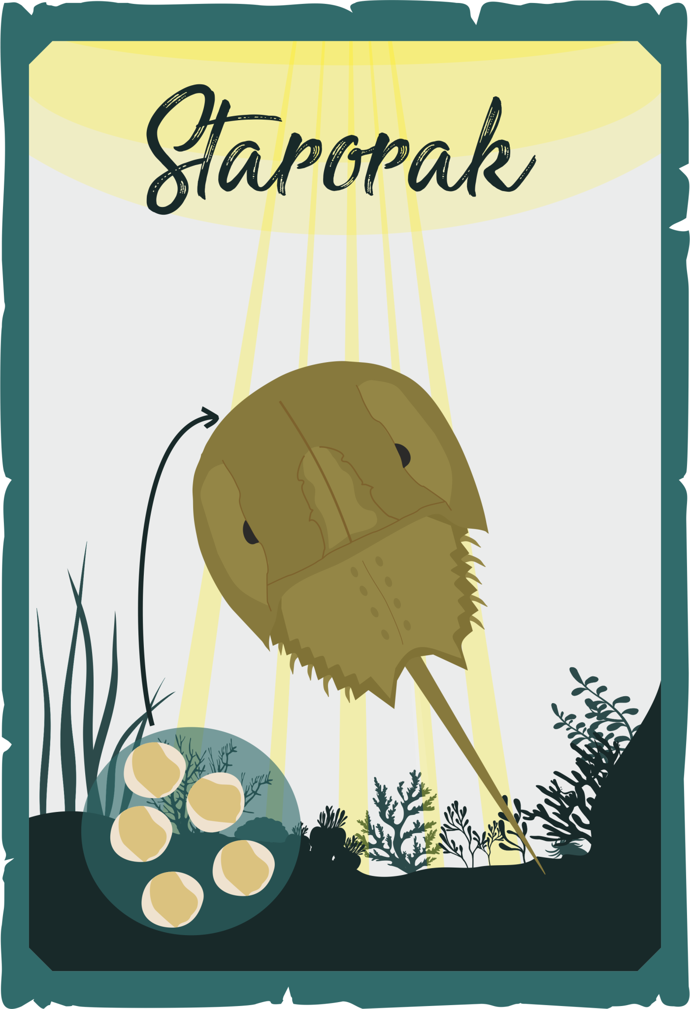 Starorak