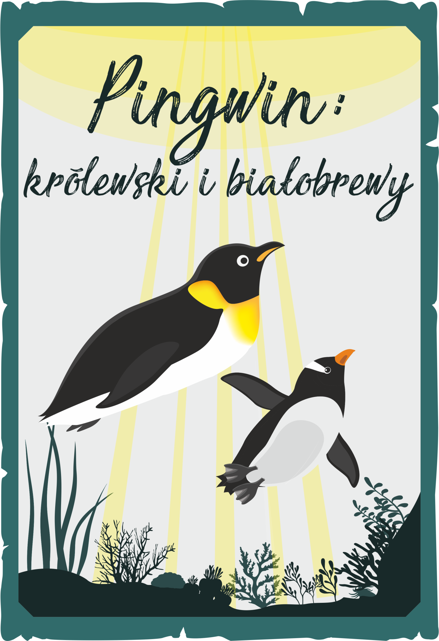Pingwin królewski i białobrewy