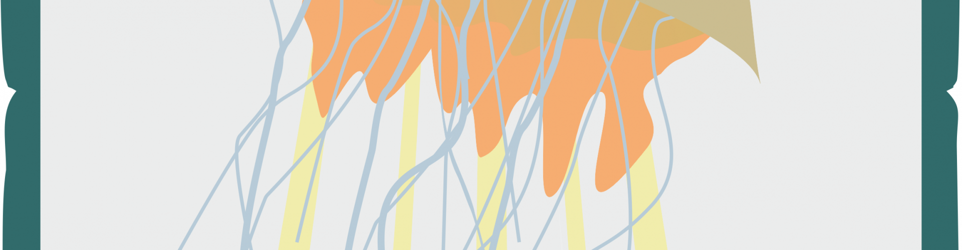 DIY | Meduzy
