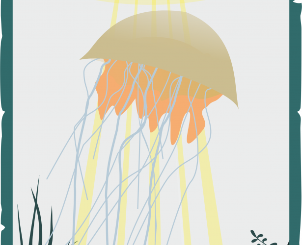 DIY | Meduzy
