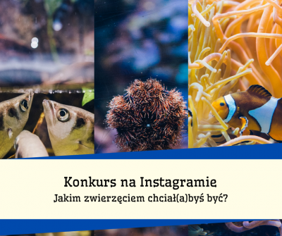 Ogłaszamy weekendowy Konkurs na Instagramie!