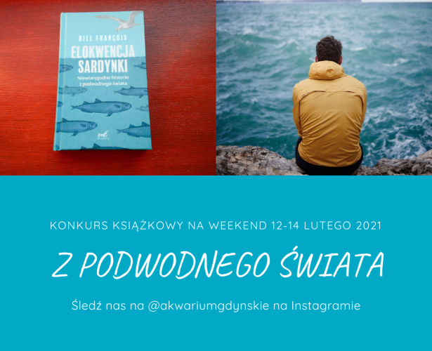 Elokwencja sardynki