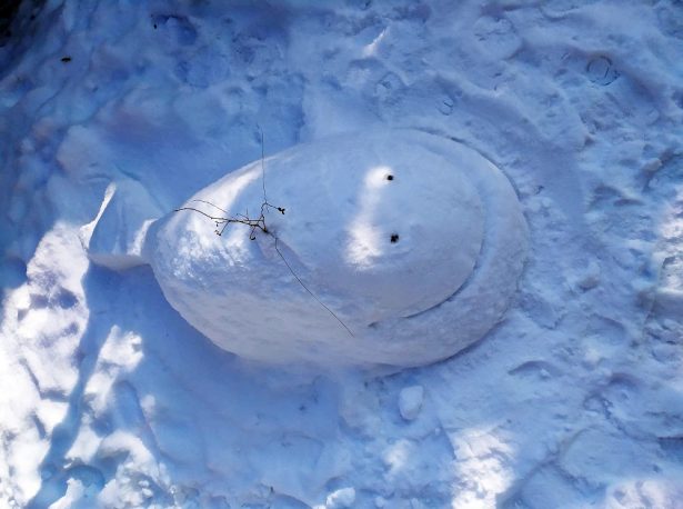 Bałwan morski 2021 | wyniki konkursu