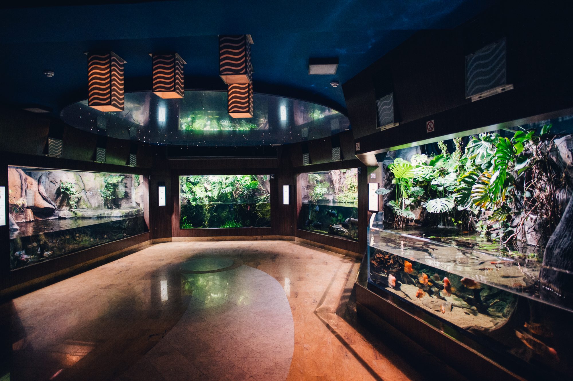 Sala Amazonia