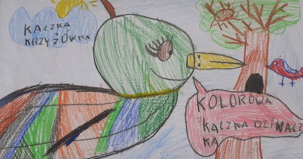 Kaczka i kowalik | wyniki konkursu