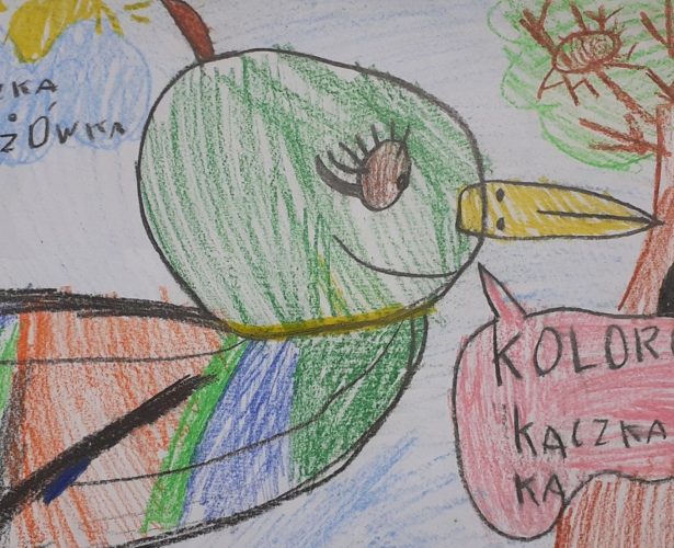 Kaczka i kowalik | wyniki konkursu