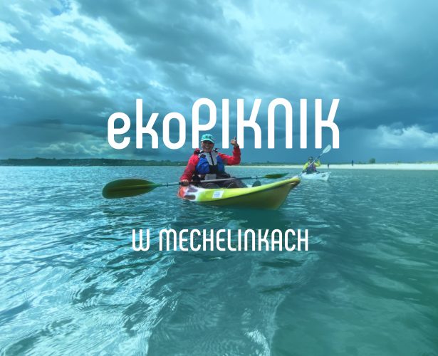 Ekopiknik w Mechelinkach | 03 lipca