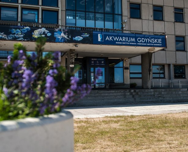 50-lecie Akwarium Gdyńskiego