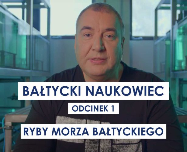 Bałtycki Naukowiec | Odc. 1: Ryby Morza Bałtyckiego