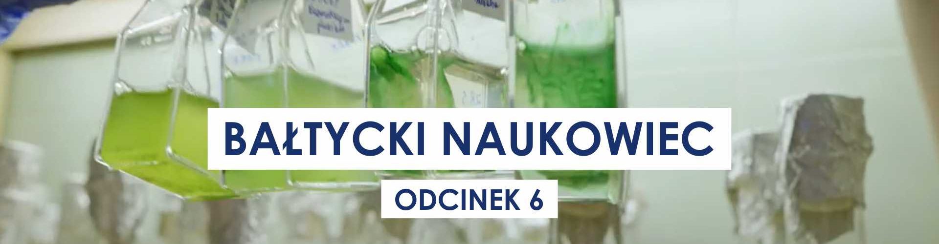Bałtycki naukowiec | Odc. 6: Fitoplankton