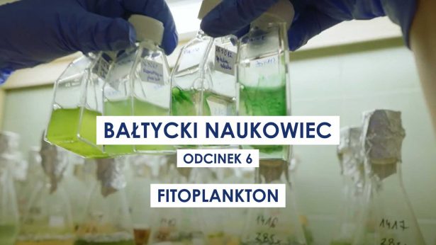 Bałtycki naukowiec | Odc. 6: Fitoplankton