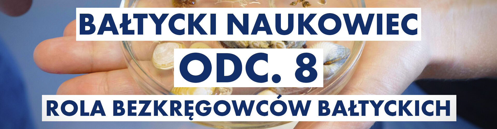 Odc. 8: Rola bezkręgowców bałtyckich