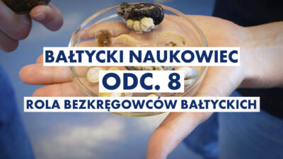 Odc. 8: Rola bezkręgowców bałtyckich