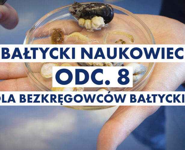 Odc. 8: Rola bezkręgowców bałtyckich