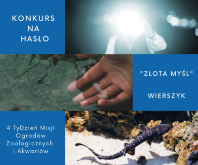 Ogłaszamy KONKURS!!!