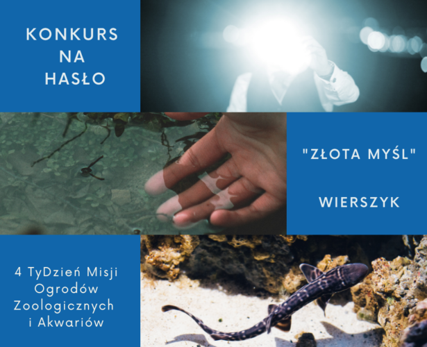 Ogłaszamy KONKURS!!!