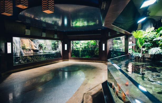 Sala Amazonia niedostępna dla osób z niepełnosprawnością ruchową