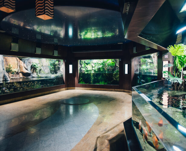 Sala Amazonia niedostępna dla osób z niepełnosprawnością ruchową