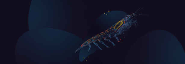 Ferie zimowe 2025 w Akwarium Gdyńskim